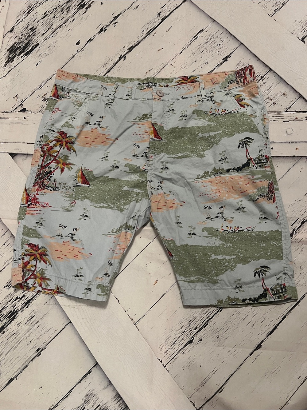 Pop Icon Tropical Print Cotton Shorts - Light Blue Green size 38